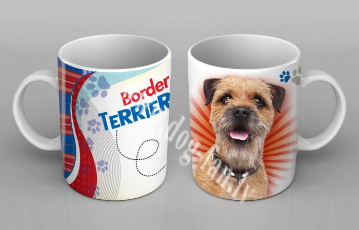 bordtercup copy